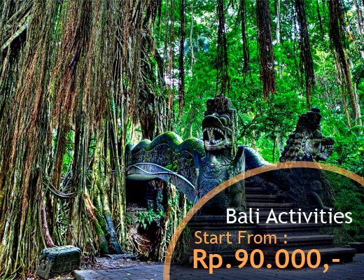 Bali Activities Tour - Cheap Car Rental in Bali