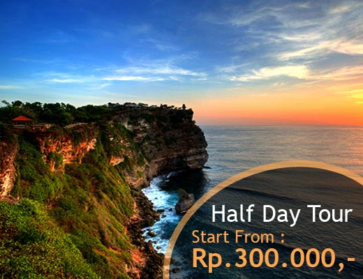 Bali Half Day Tour - Cheap Car Rental in Bali